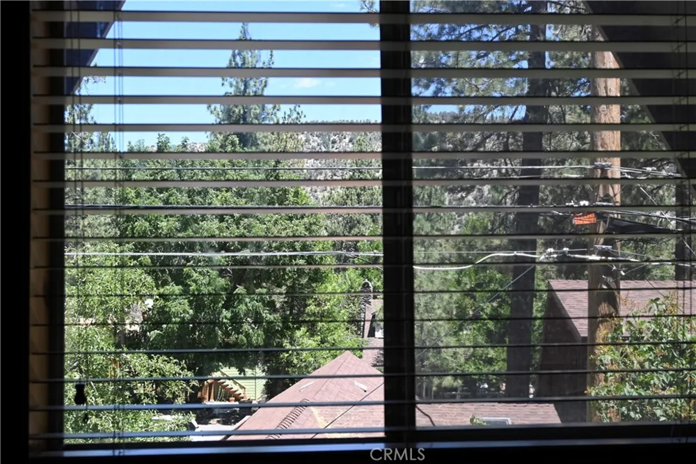 1628 Thrush Wrightwood, CA 92397
