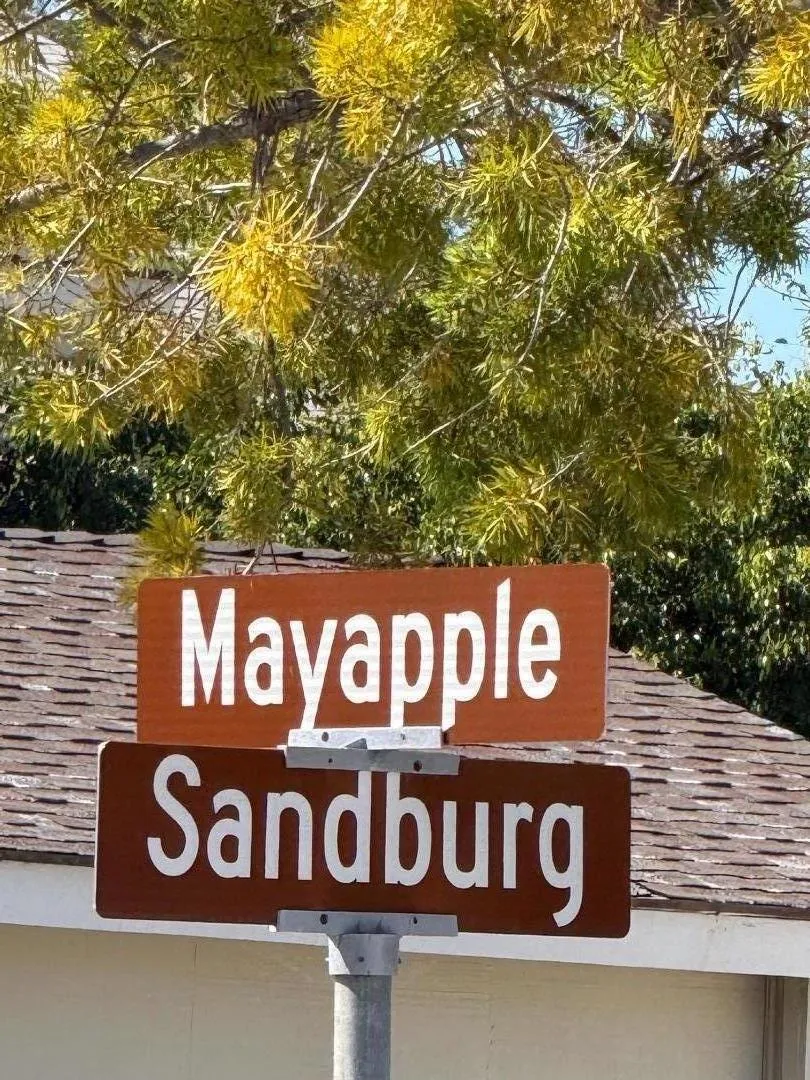 2 Mayapple Way Irvine, CA 92612