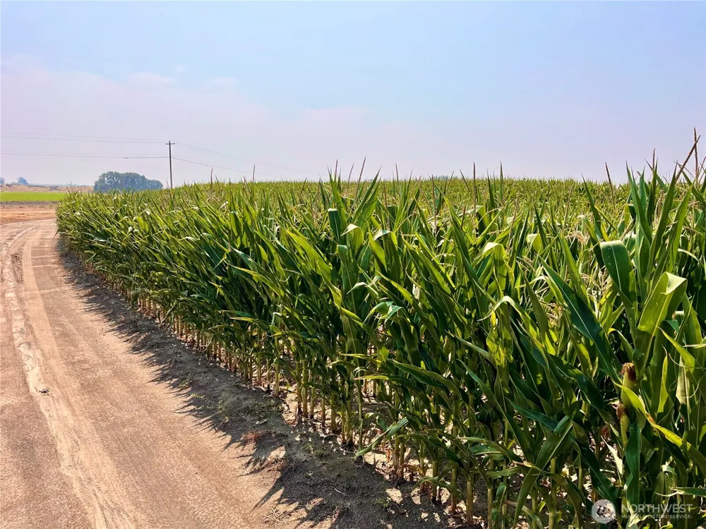 0 5 ROAD NW Ephrata, WA 98823
