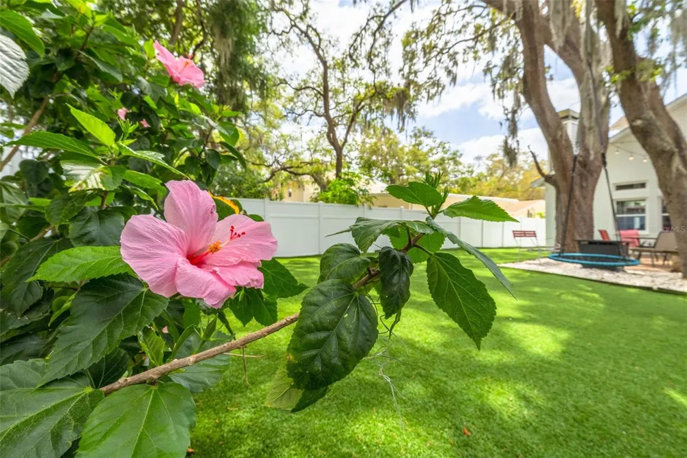 901 VIRGINIA AVENUE Tarpon Springs, FL 34689
