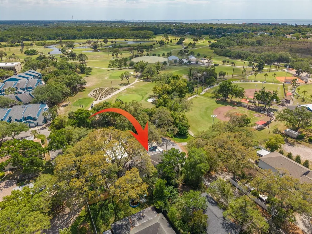 901 VIRGINIA AVENUE Tarpon Springs, FL 34689