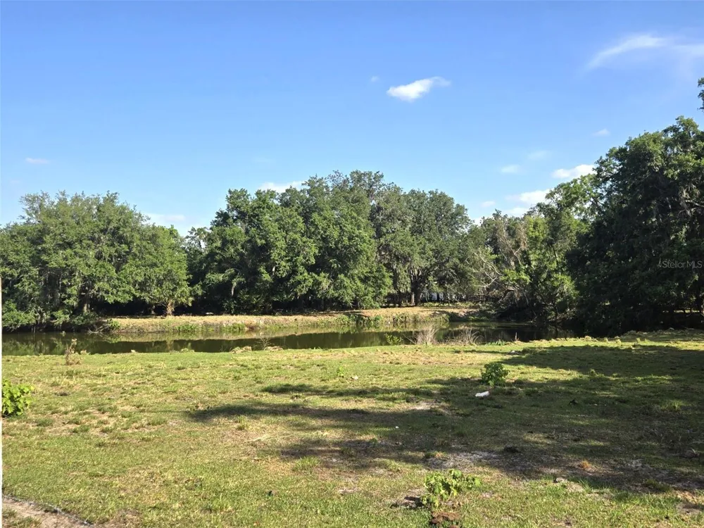 3101 MEDULLA ROAD Plant City, FL 33566