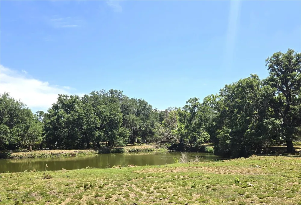 3101 MEDULLA ROAD Plant City, FL 33566