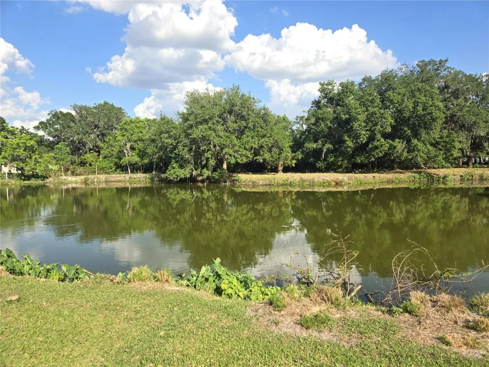 3101 MEDULLA ROAD Plant City, FL 33566