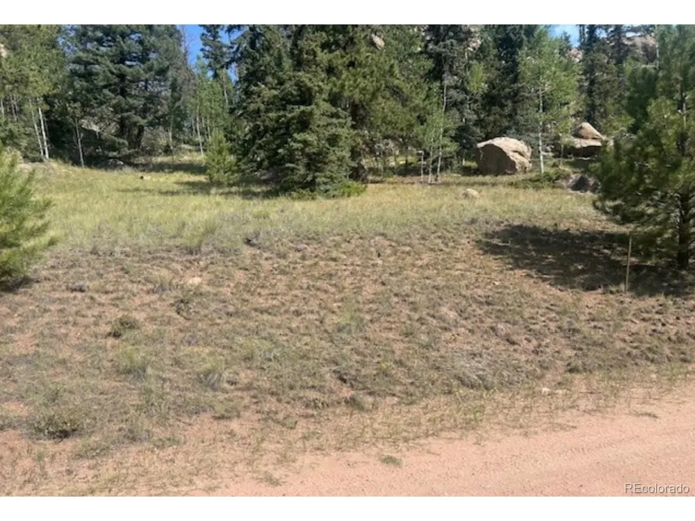 987 Eagle Rock Road Florissant, CO 80816