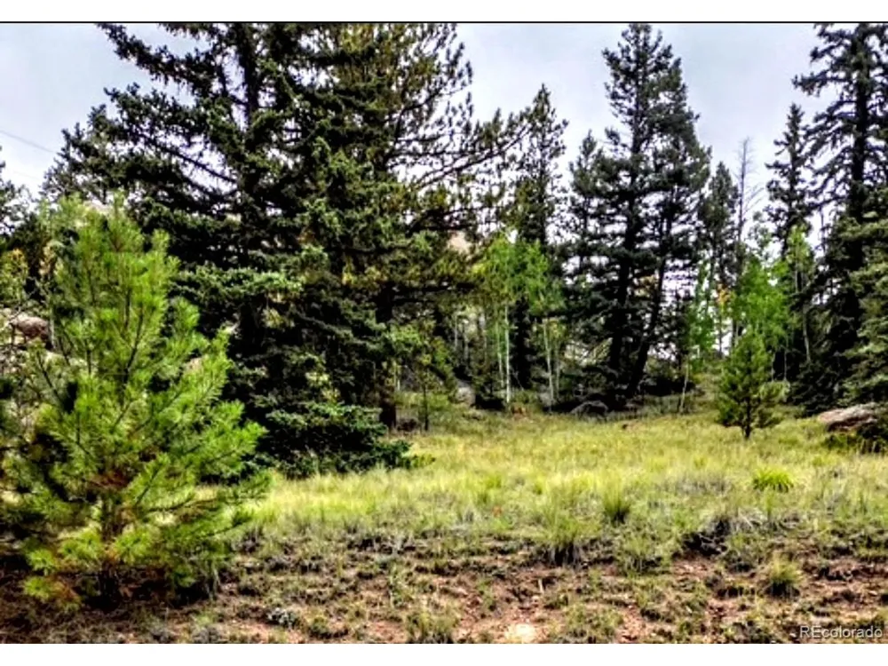 987 Eagle Rock Road Florissant, CO 80816