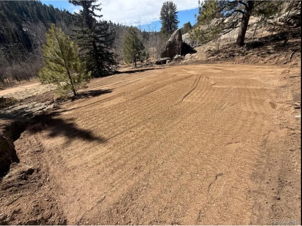987 Eagle Rock Road Florissant, CO 80816