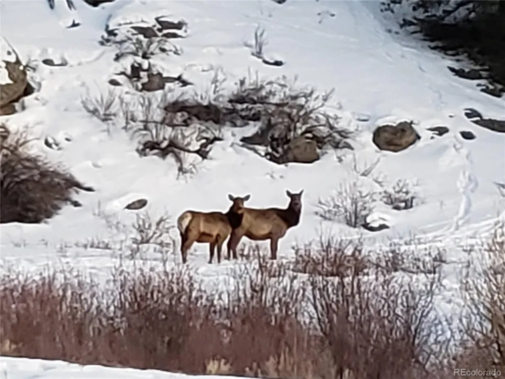 987 Eagle Rock Road Florissant, CO 80816