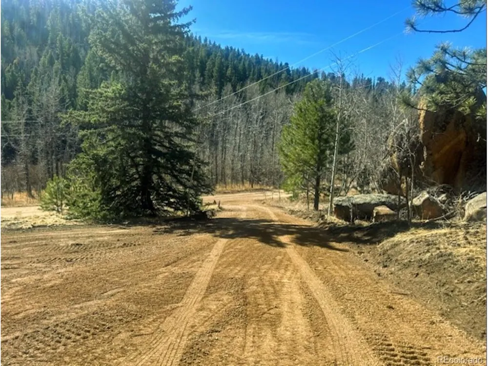 987 Eagle Rock Road Florissant, CO 80816