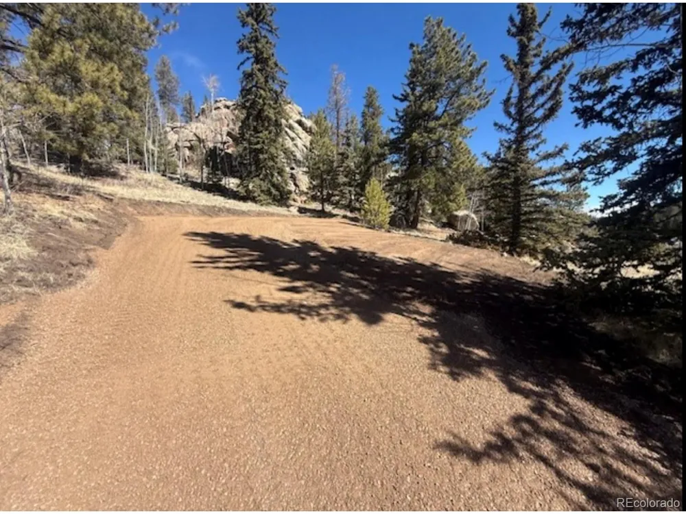 987 Eagle Rock Road Florissant, CO 80816