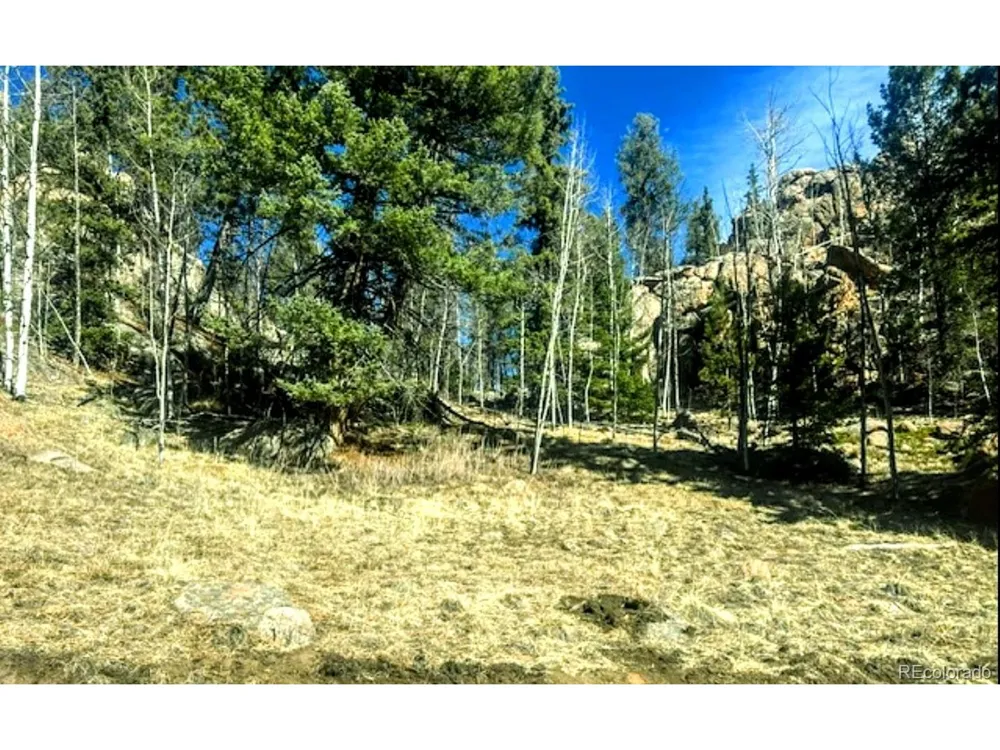 987 Eagle Rock Road Florissant, CO 80816