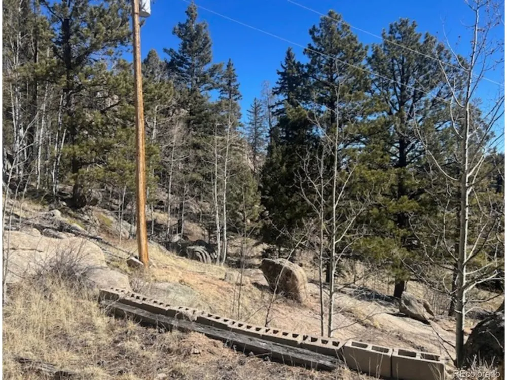987 Eagle Rock Road Florissant, CO 80816