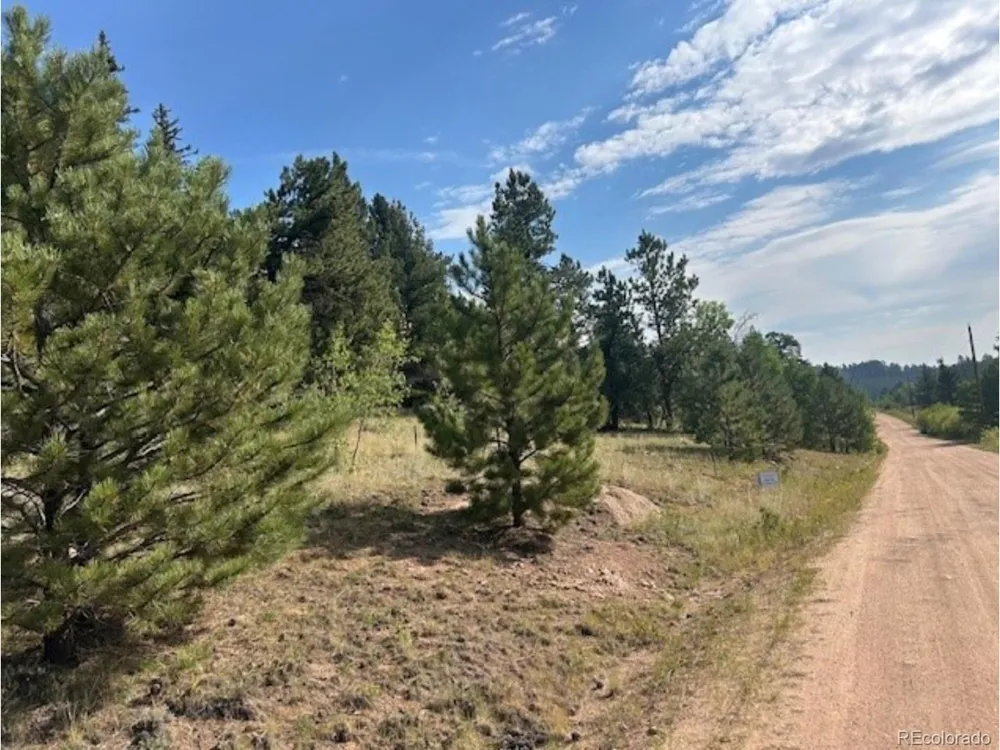 987 Eagle Rock Road Florissant, CO 80816
