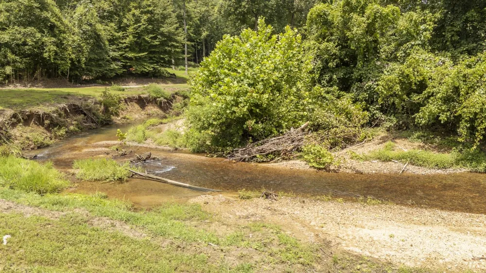 5690 CERRO GORDO RD Olivehill, TN 38475
