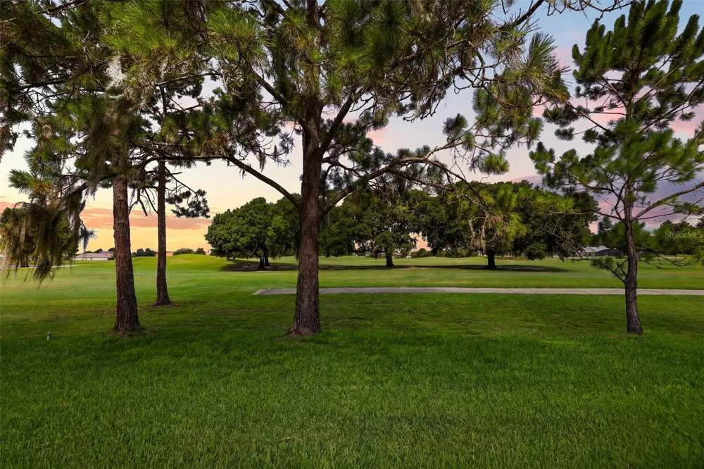 29925 CYPRESS POINTE Tavares, FL 32778