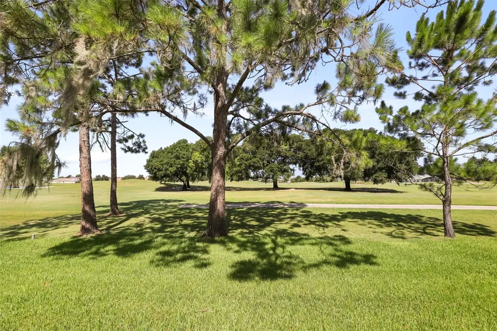 29925 CYPRESS POINTE Tavares, FL 32778