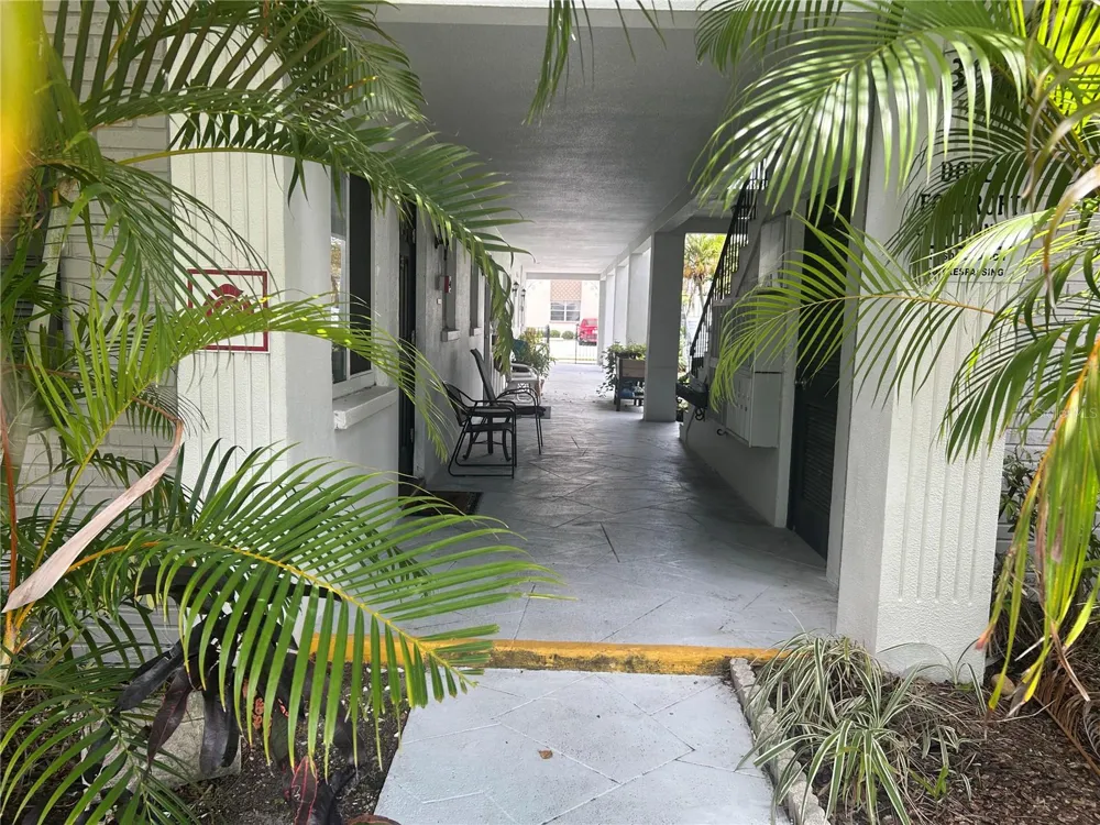 300 35TH AVENUE #F8 St Petersburg, FL 33704