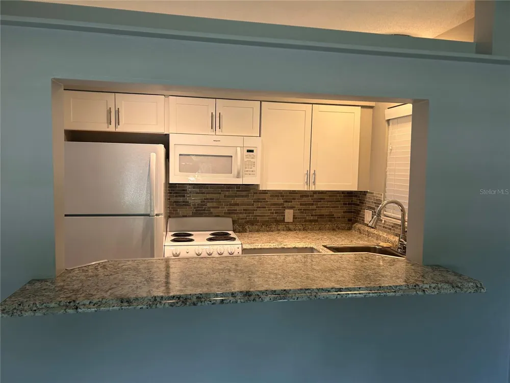 300 35TH AVENUE #F8 St Petersburg, FL 33704