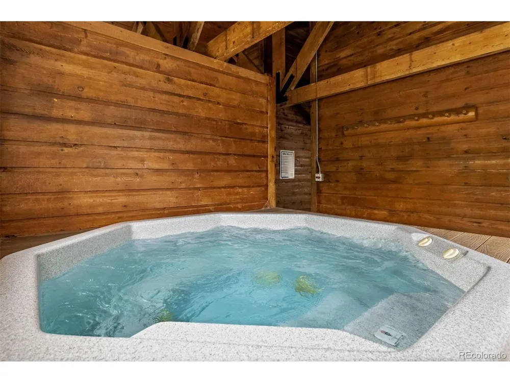 96 Lookout Ridge Drive Dillon, CO 80435