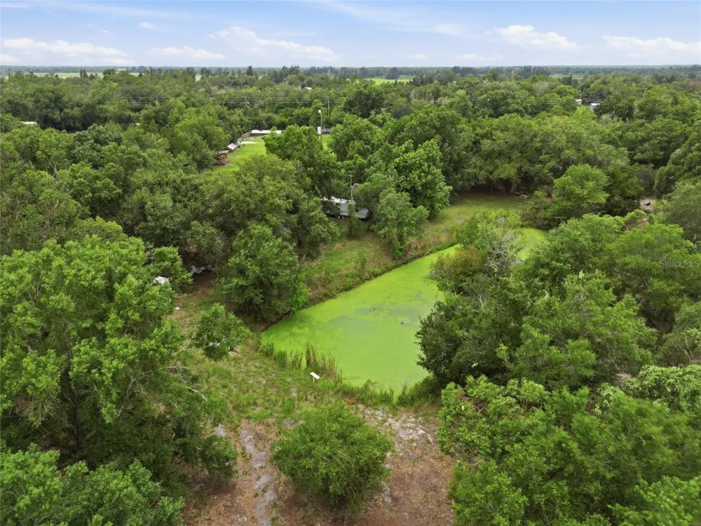SE AMBRA DRIVE Arcadia, FL 34266