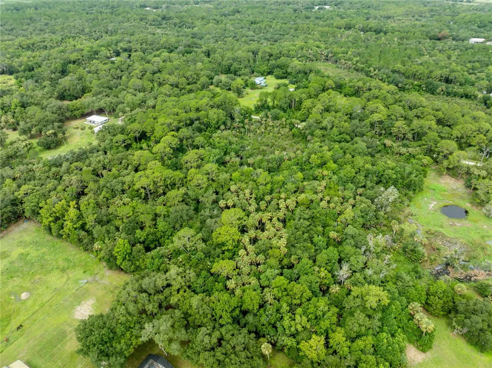 2750 PERCH ROAD Geneva, FL 32732