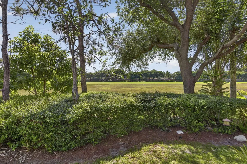 333 River Bluff Lane Royal Palm Beach, FL 33411