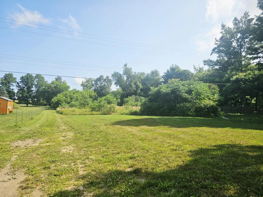 229 E Leroy Street Burlington, MI 49029