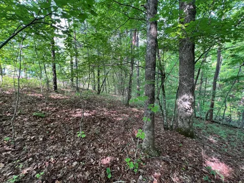 9 + Acre Leonard Lane