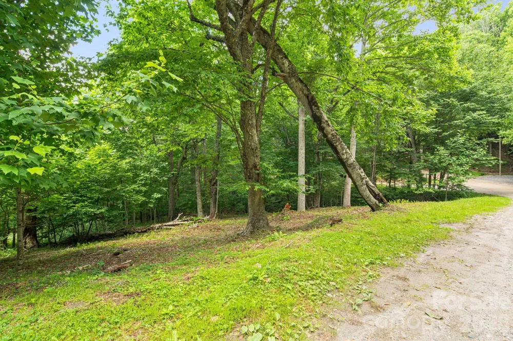 646 El Miner Drive Mars Hill, NC 28754