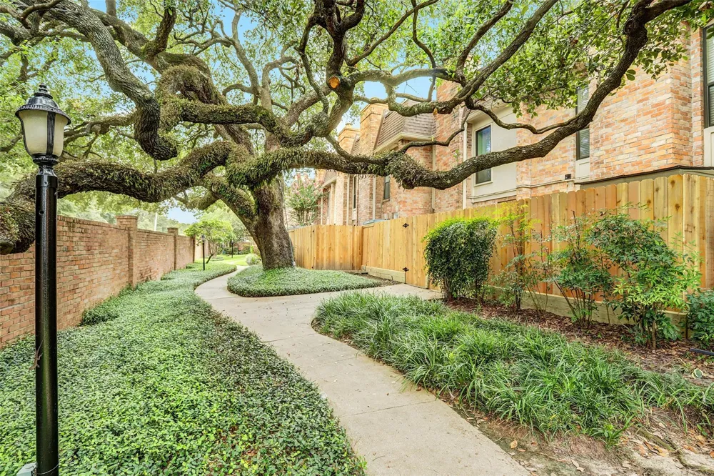 1601 S Shepherd Drive #207 Houston, TX 77019