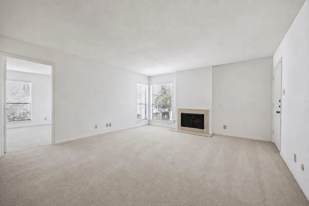 1601 S Shepherd Drive #207 Houston, TX 77019