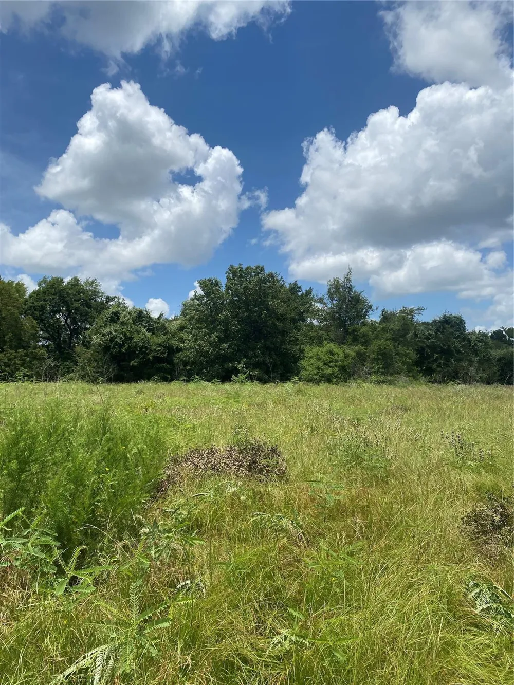 10779 Whiterock Road Bremond, TX 76629