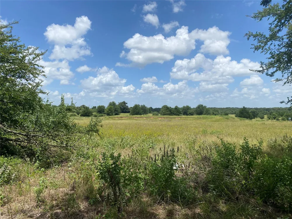 10779 Whiterock Road Bremond, TX 76629