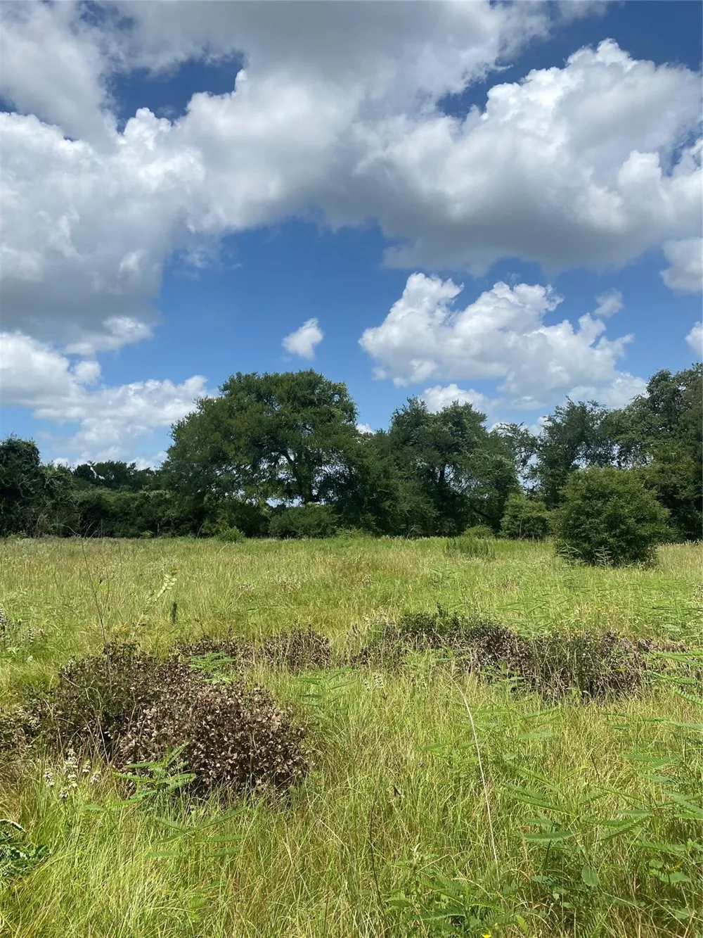 10779 Whiterock Road Bremond, TX 76629