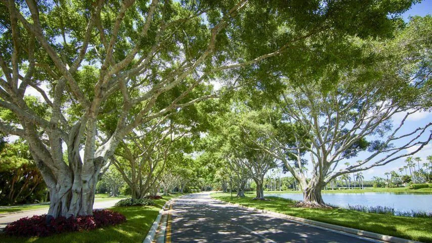 7691 CARDINAL COURT West Palm Beach, FL 33412