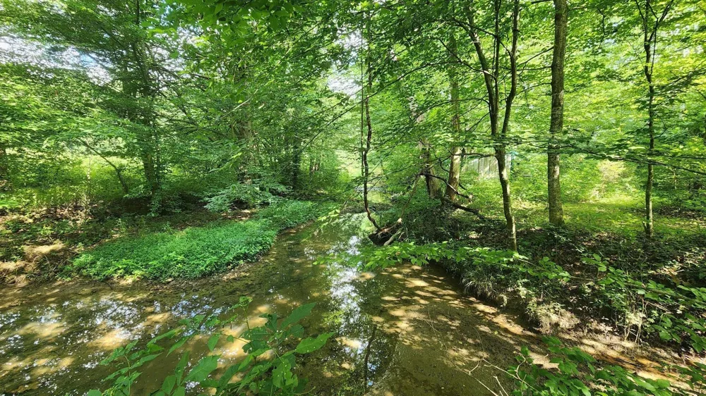 340 Christian Community Rd Livingston, TN 38570