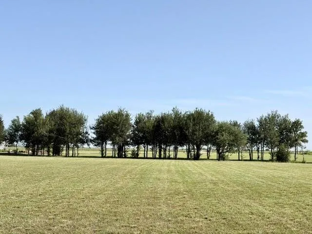 7490 Fm 2546 Road #7500 El Campo, TX 77437