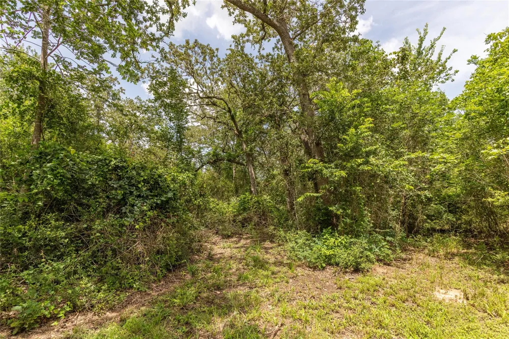 601 Piney Creek Road Bellville, TX 77418