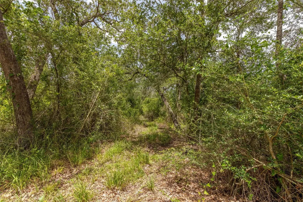 601 Piney Creek Road Bellville, TX 77418