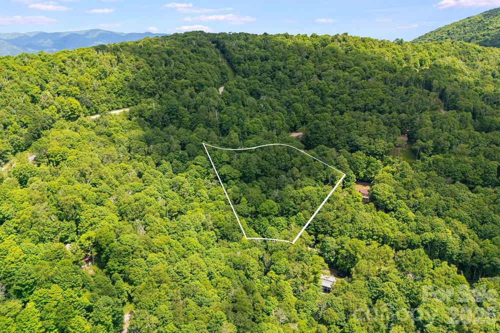 10 Buckeye Road #10 Mars Hill, NC 28754