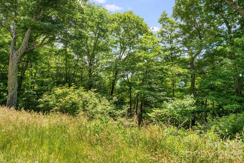 10 Buckeye Road #10 Mars Hill, NC 28754