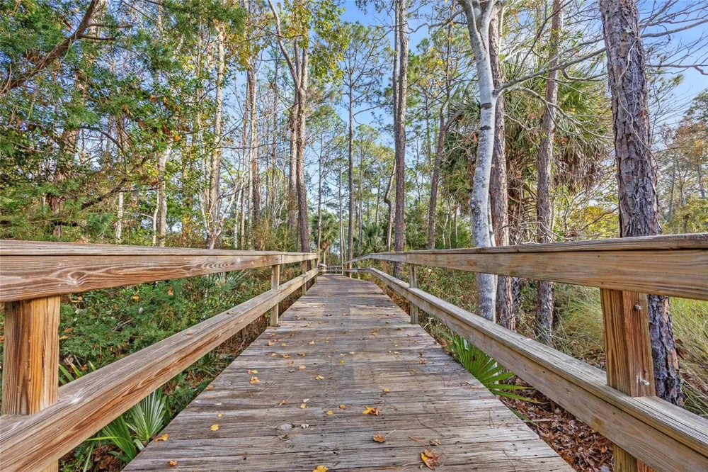 2408 LAS CALINAS BOULEVARD St Augustine, FL 32095
