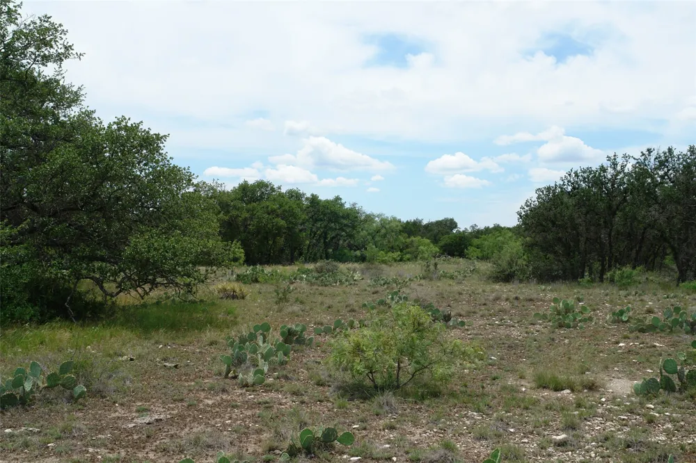 3135 CR 4131 Eden, TX 76837