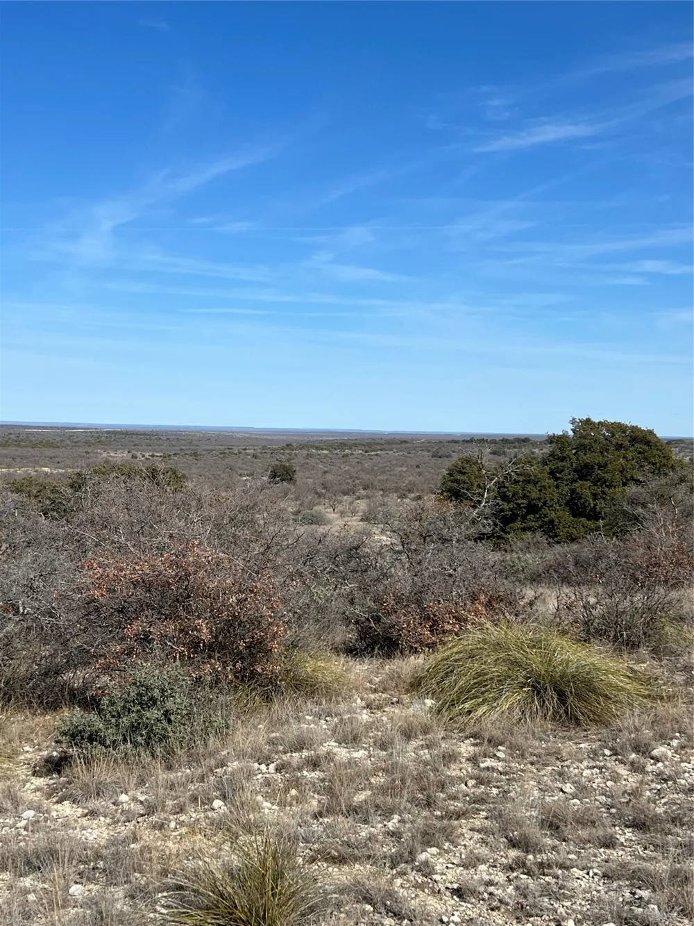 3135 CR 4131 Eden, TX 76837