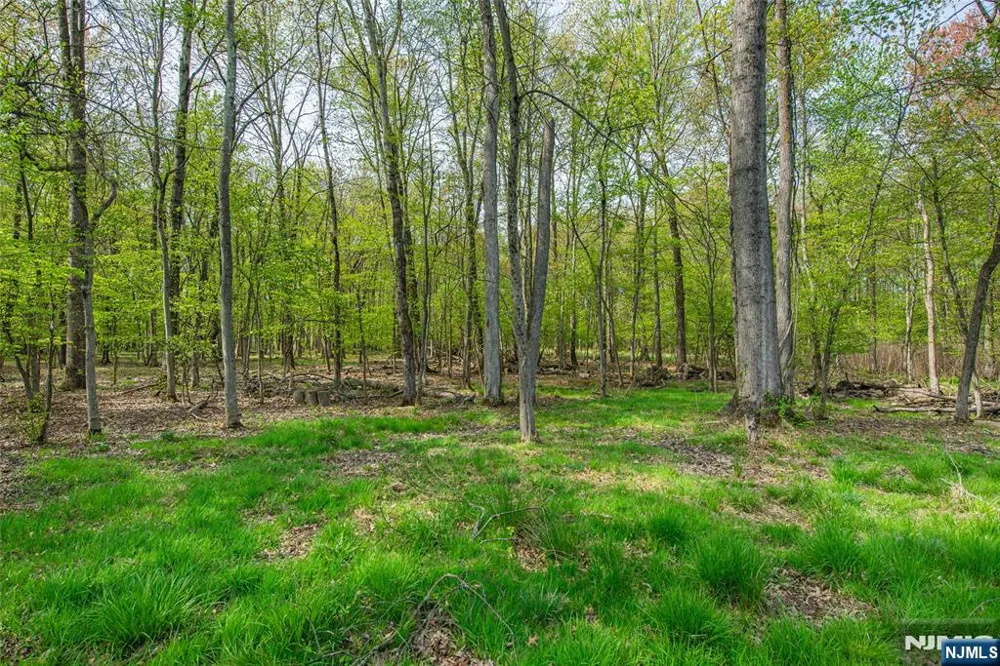15 Norman Avenue Par-Troy Hills, NJ 07034