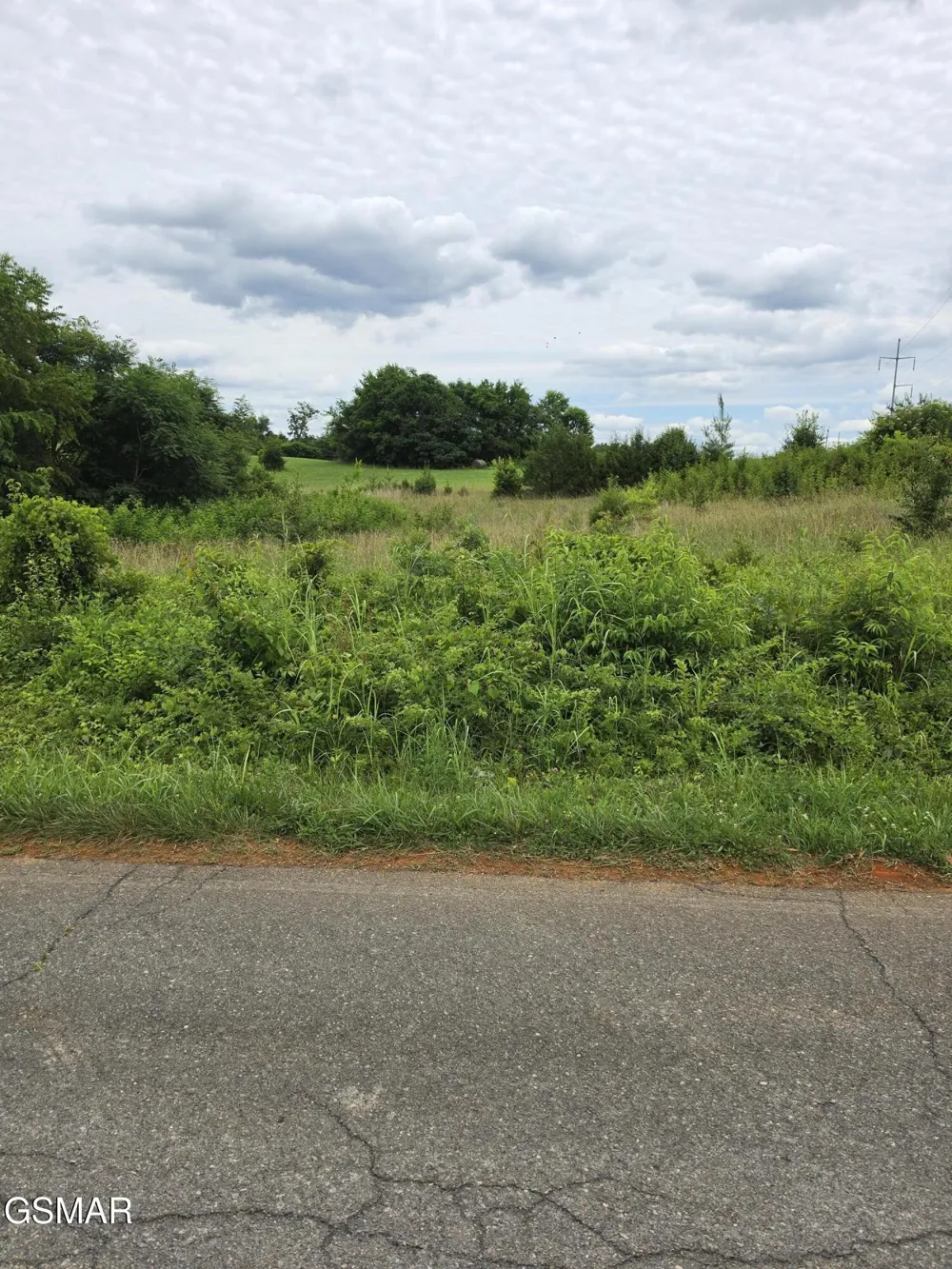 18 Baker Springs Road White Pine, TN 37890