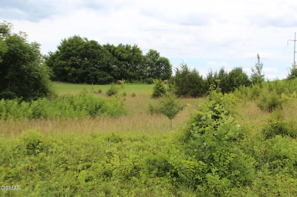 18 Baker Springs Road White Pine, TN 37890