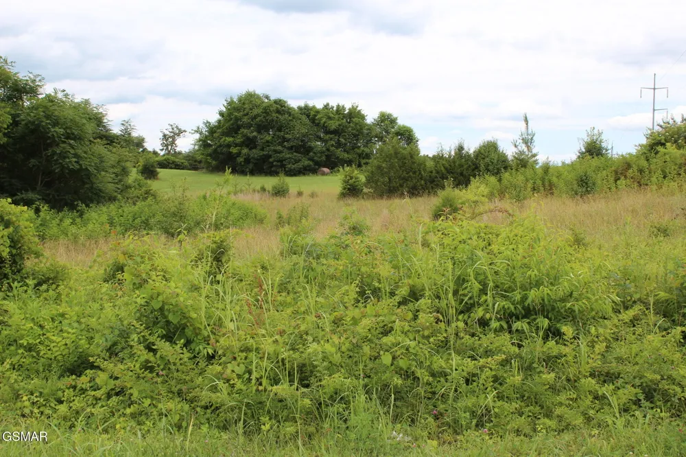 18 Baker Springs Road White Pine, TN 37890