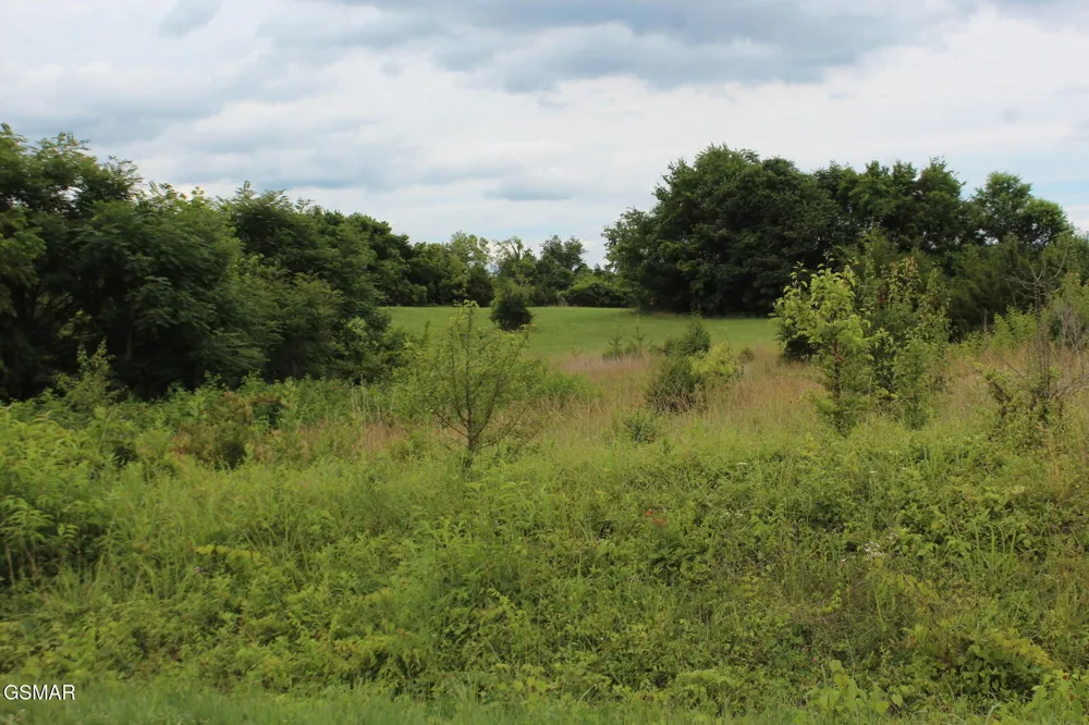 18 Baker Springs Road White Pine, TN 37890