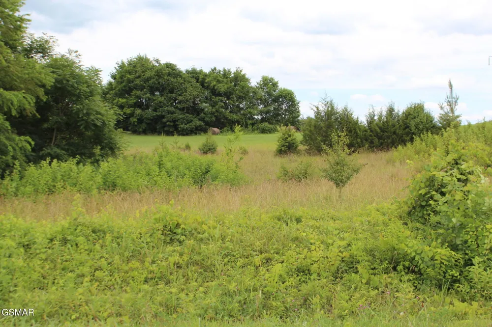 18 Baker Springs Road White Pine, TN 37890
